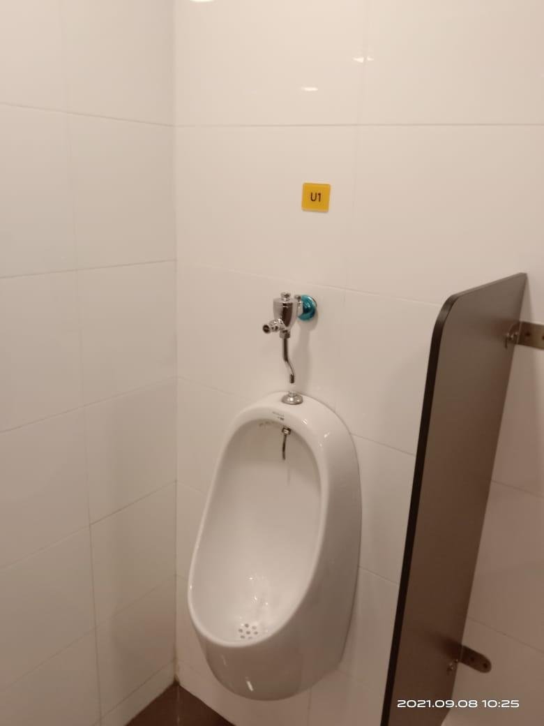 Kitchen & Toilet Upgrades